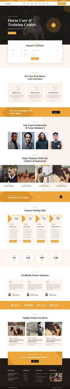 橙色大气响应式马术训练养马牧场网站苹果CMS模板
