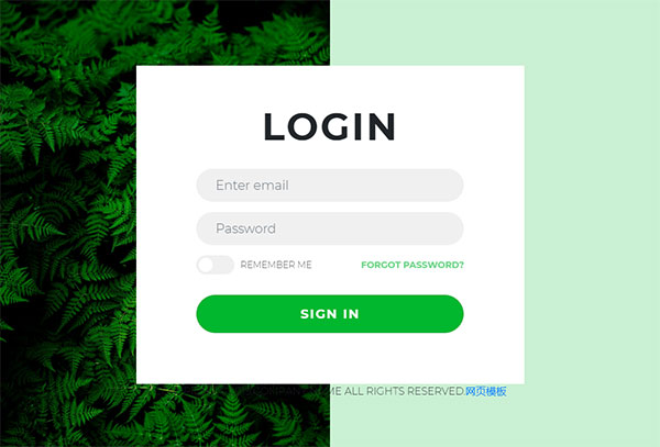 绿色大气响应式网站登录网站苹果CMS模板